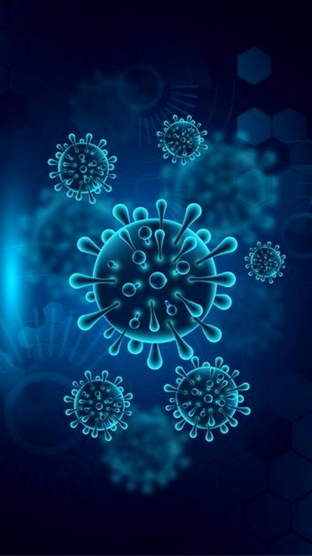 Что такое вирус?